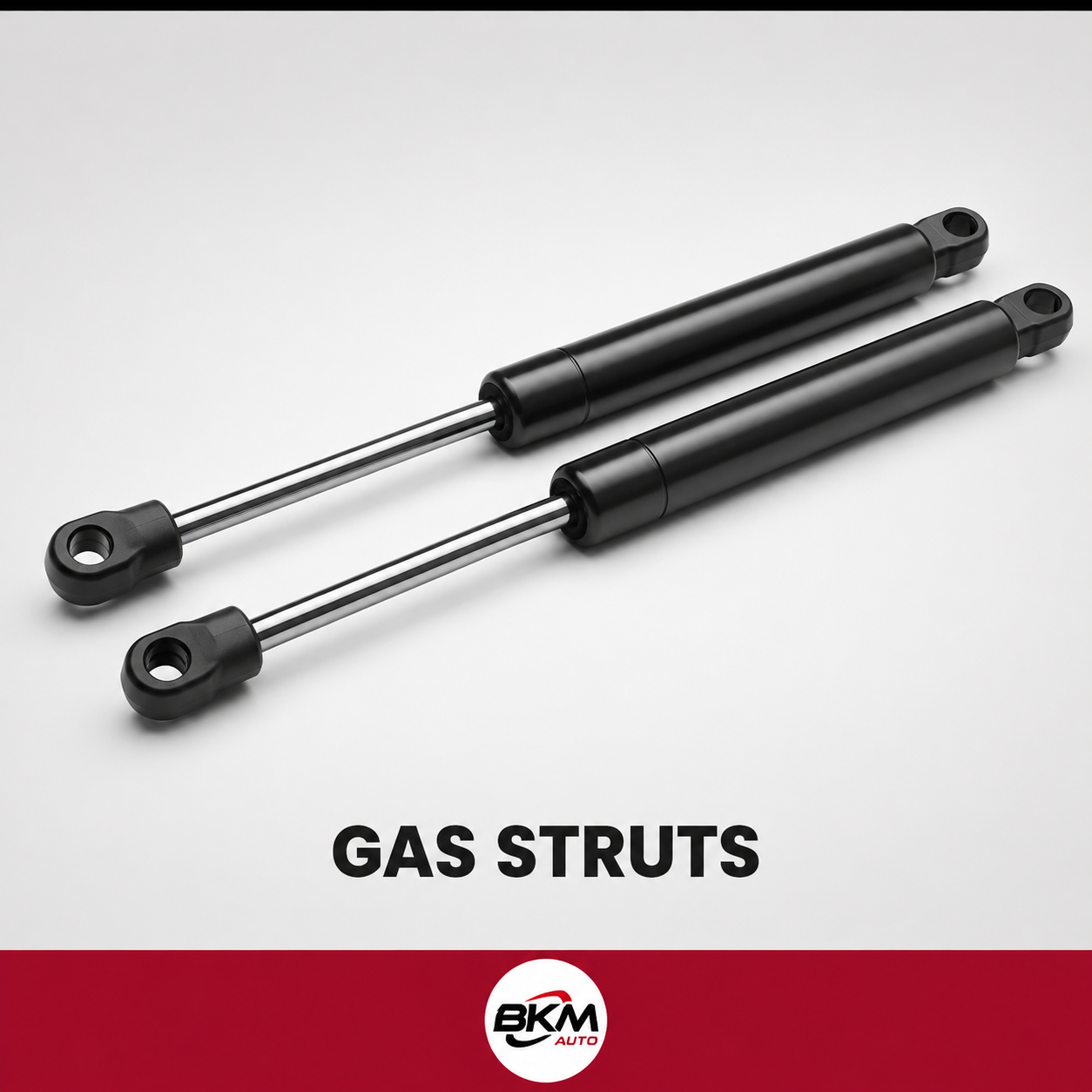Gas Struts